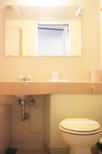 Bathroom 3, Gasthof Schi Heil, Nozawaonsen