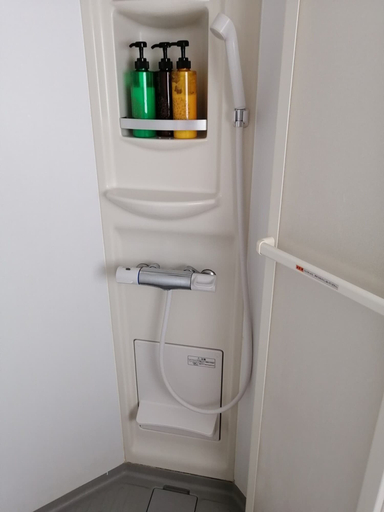 Bathroom 3, Ozawa Building, Osaka