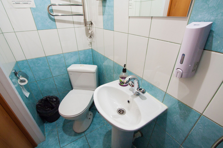 Bathroom 4, Samsonov Hotel On Moskovskiy, Sankt-Peterburg gorsovet