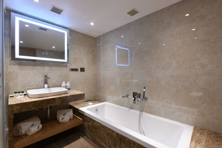 Bathroom 4, Harsha The Fern Shivamogga, Shimoga