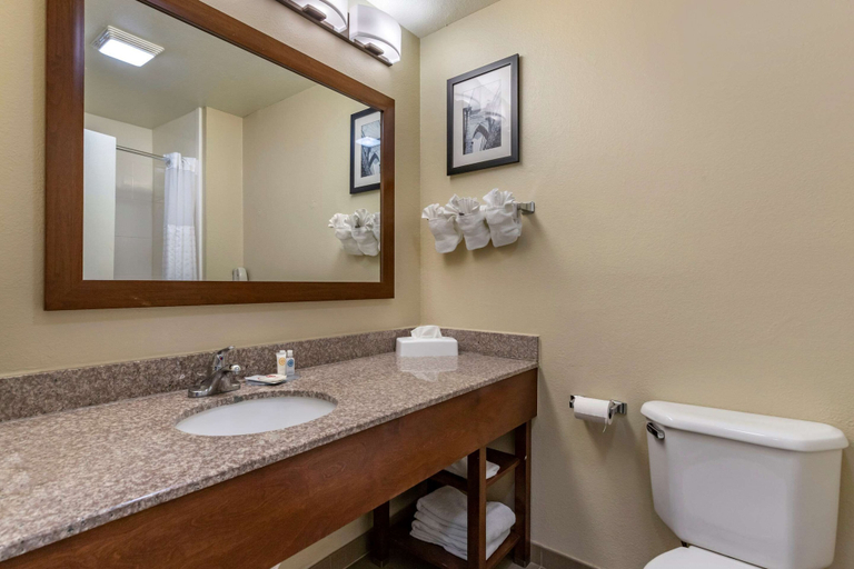 Bathroom 4, Comfort Inn & Suites Texas Hill Country, Kendall