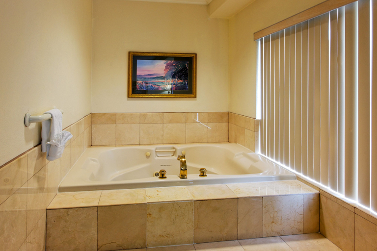 Bathroom 3, TownePlace Suites by Marriott San Pablo, Contra Costa