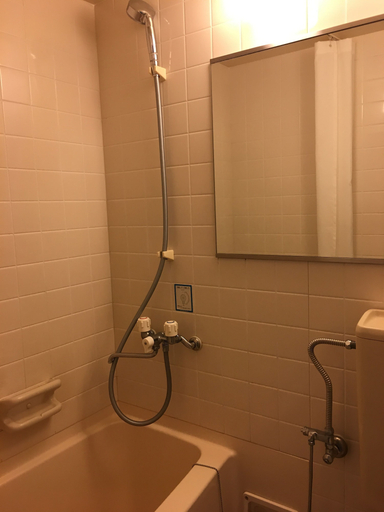 Bathroom 4, Flexstay Inn Sugamo, Toshima