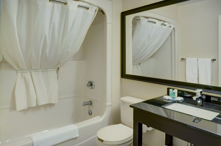Bathroom, Comfort Inn Regina East, Division No. 6