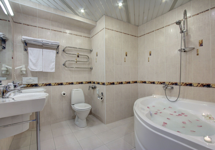 Bathroom 4, Izmailovo Alfa Hotel, Eastern