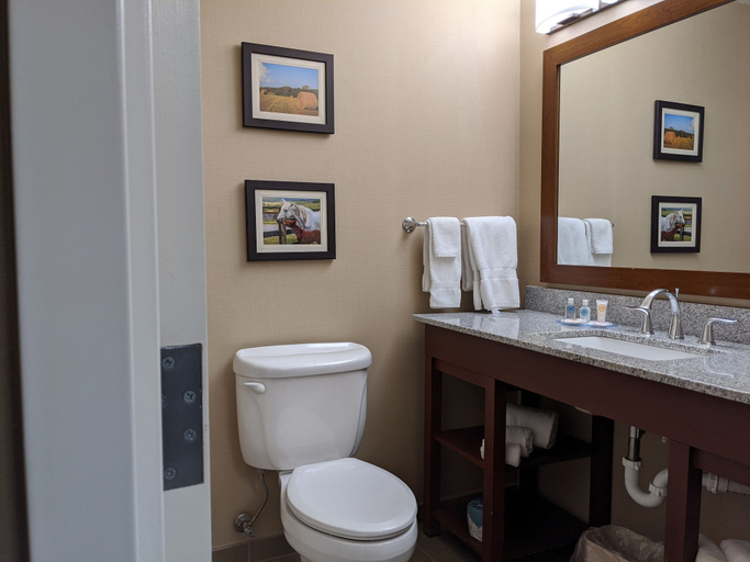 Bathroom 4, Comfort Inn & Suites Northern Kentucky, Campbell