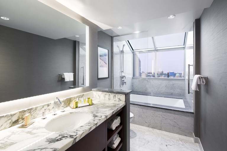 Bathroom 4, DoubleTree by Hilton Hotel & Suites Victoria, Capital