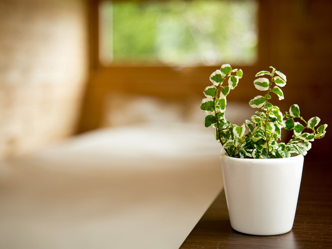 Bedroom 2, BRICK HOUSE Furano, Furano