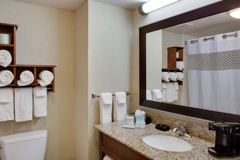 Bathroom 4, Hampton Inn Chickasha, Grady