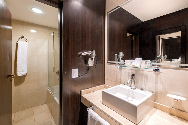 Bathroom 4, Exe Hotel Colón, Distrito Federal