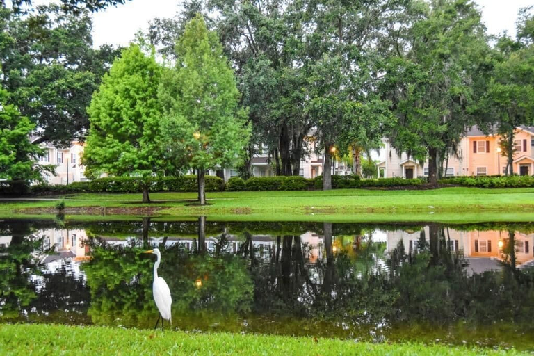 Others 5, Lucaya 3 Bedroom 2 Bath Townhome!, Osceola
