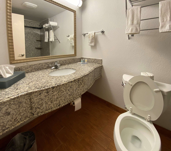 Bathroom 4, MainStay Suites Conover-Hickory, Catawba