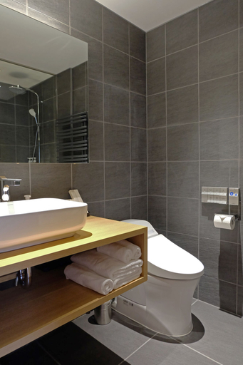 Bathroom 4, Fenix Furano, Furano