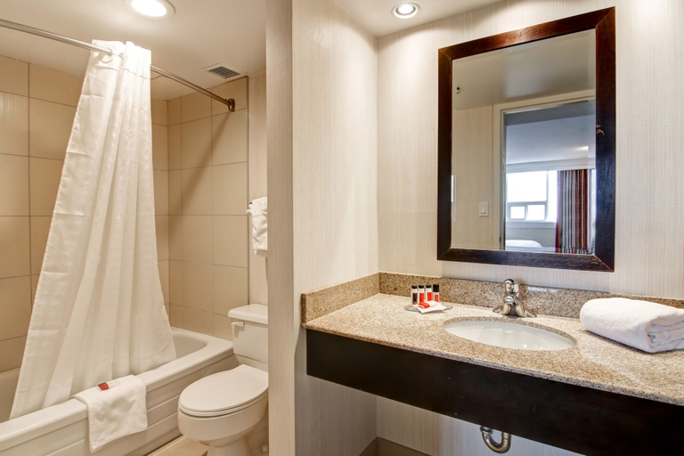 Bathroom 4, Edmonton Inn and Conference Centre, Division No. 11