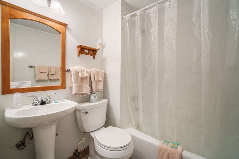 Bathroom 3, Boulevard Motel, Cape May