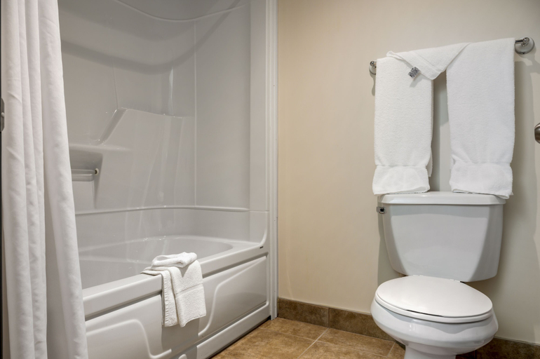 Bathroom 4, Econo Lodge Inn & Suites, Montmagny