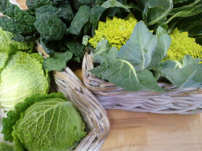 Food & Drinks, Camping Agrituristico Carso, Trieste