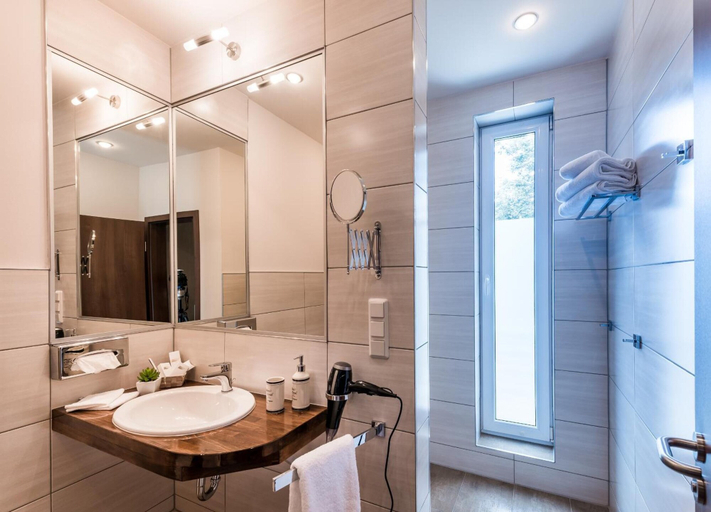 Bathroom 4, Hotel Allegro, Harz
