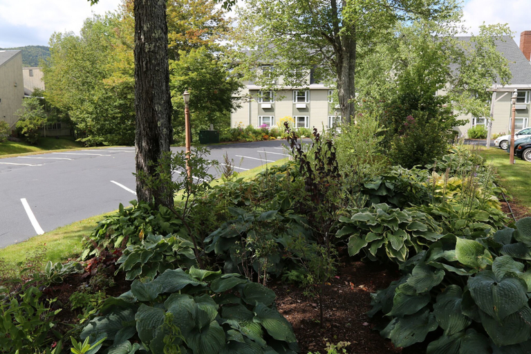 Exterior & Views 3, Silver Fox Inn, Grafton