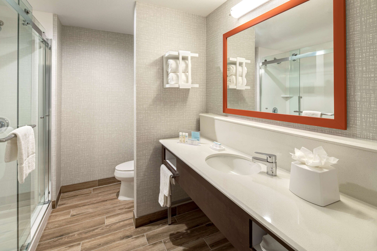 Bathroom 4, Hampton Inn & Suites Indio, Riverside