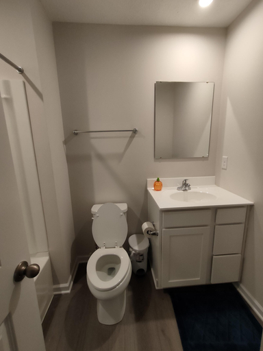 Bathroom 3, Ryan Home, Franklin