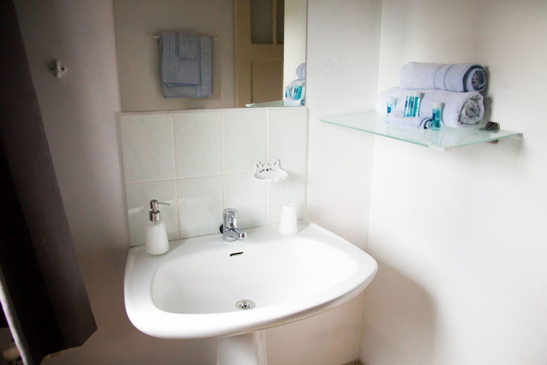Bathroom 5, B&B De Dubbelmolen, Limburg