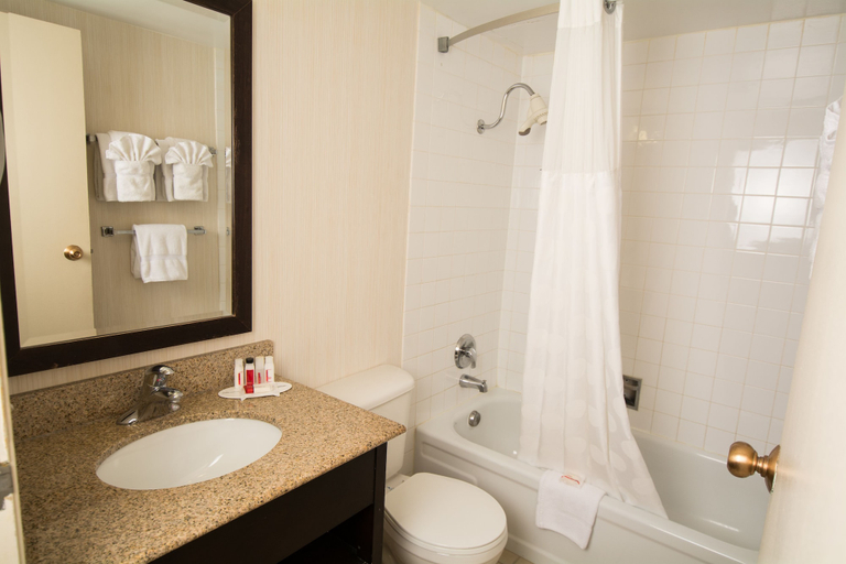 Bathroom 4, Edmonton Inn and Conference Centre, Division No. 11