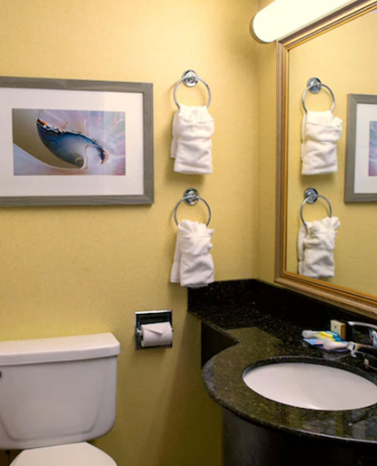 Bathroom 3, Oceanfront Inn, Virginia Beach