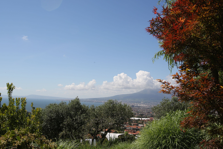 View from property 5, Villa Catiè, Napoli