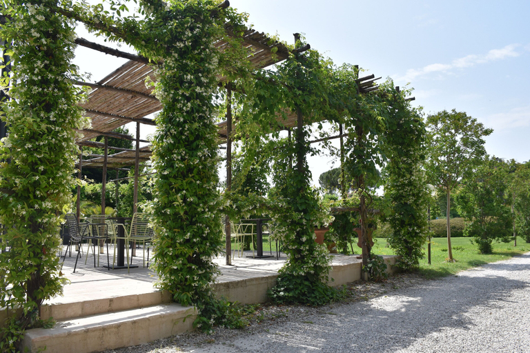 Exterior & Views 2, Venicegreen Agriresort, Venezia