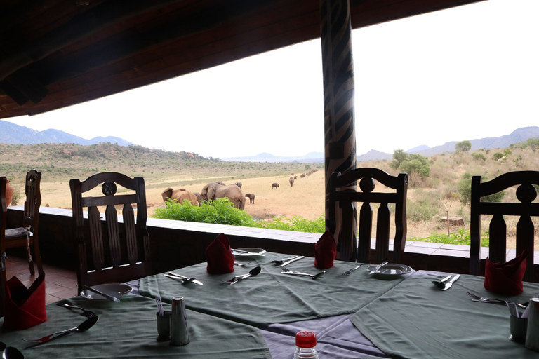 Others 5, Ngulia Safari Lodge, Voi