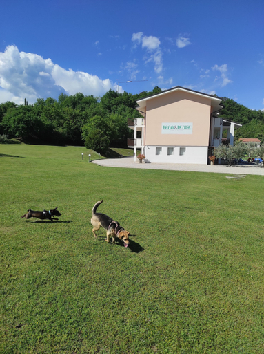 Exterior & Views 2, Bran & Denise - Apartments, Verona