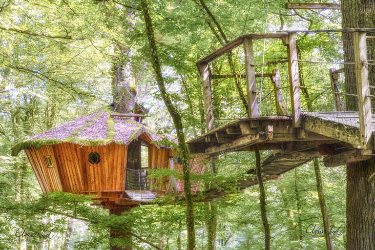 L'Arbre à Cabane, Haute-Marne