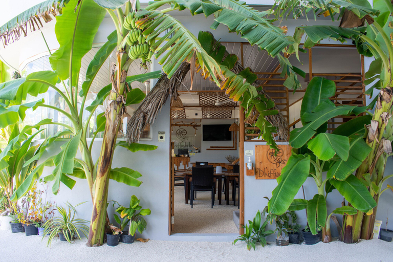 Exterior & Views 2, Dhiffushi Inn, Kaafu Atoll