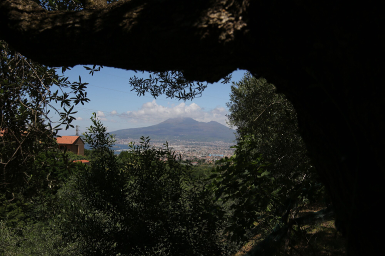 View from property 3, Villa Catiè, Napoli