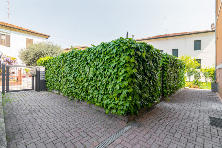 Others 4, Prato della Valle Roomy Flat, Padua