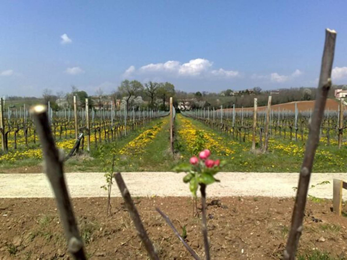 Others 5, Agriturismo Caspineda, Treviso