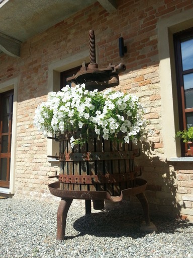 Exterior & Views 2, Dimora Cortese, Asti