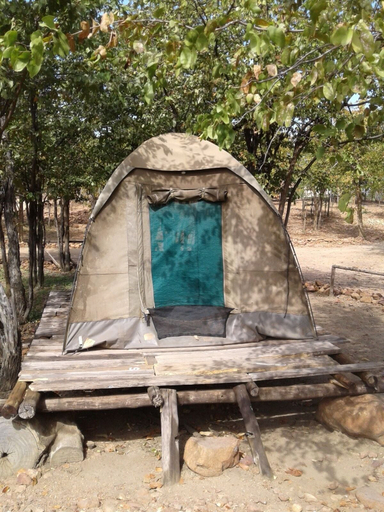 Others 5, Warthogs Safari Camp, Kariba