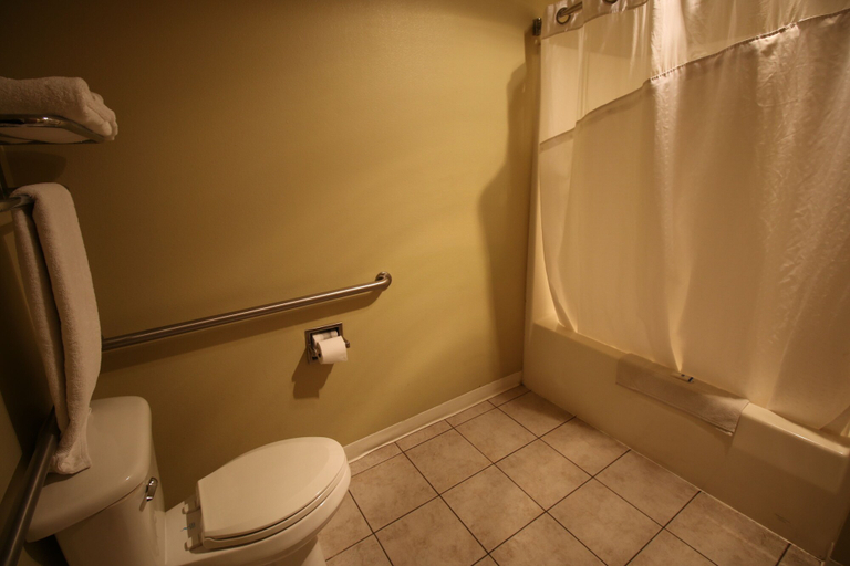 Bathroom 4, Rice Hill Inn, Douglas