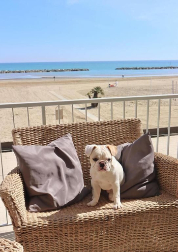 Others 5, NAUTIC BEACH HOTEL, Rimini