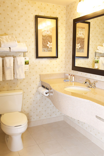 Bathroom 4, Home2 Suites by Hilton St. Charles St.Louis, Saint Charles