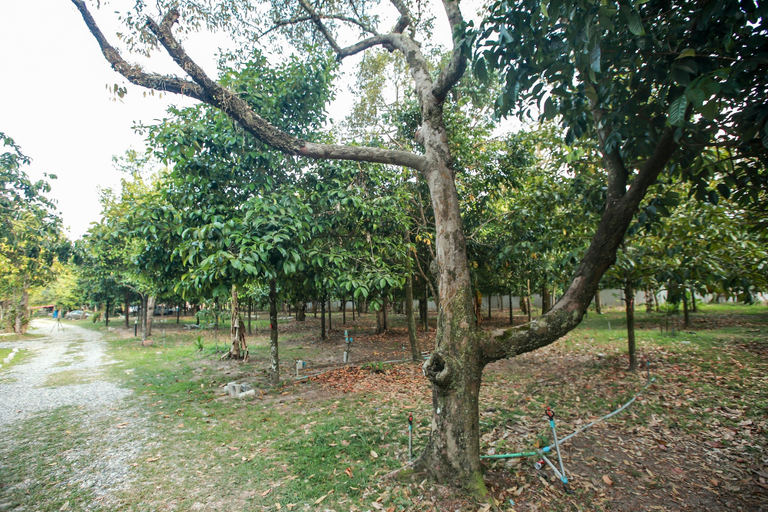 Others 5, Khao Hin Tang Resort, Klaeng