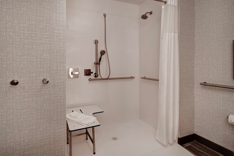 Bathroom 4, Hampton Inn Tucson Downtown, Pima