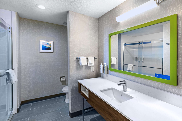 Bathroom 3, Hampton Inn & Suites Dallas I-30 Cockrell Hill, Dallas