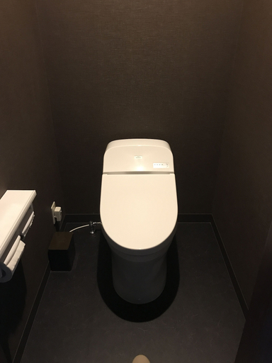 Bathroom 3, Tokiwa Ryokan, Nikkō