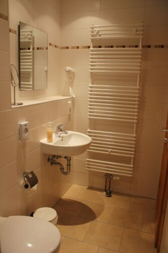 Bathroom 3, Pension & Restaurant Altjessen 57, Sächsische Schweiz-Osterzgebirge