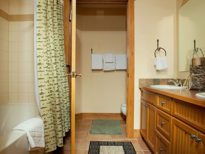 Bathroom 5, The Springs Condominiums by Vail Resorts, Summit