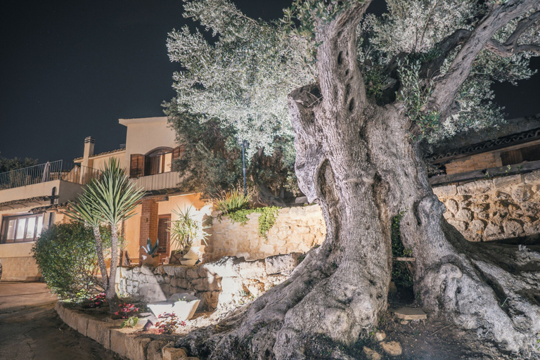 Exterior & Views 2, Villa La Lumia B&B Suites & Apartments, Agrigento