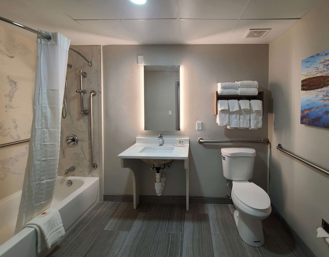 Bathroom 5, Comfort Inn Boston Milford, Worcester